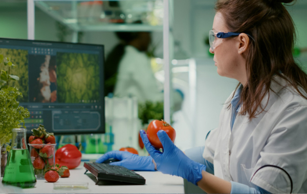 Traceability a cyberbezpieczeństwo – obniżanie ryzyka w branży spożywczej